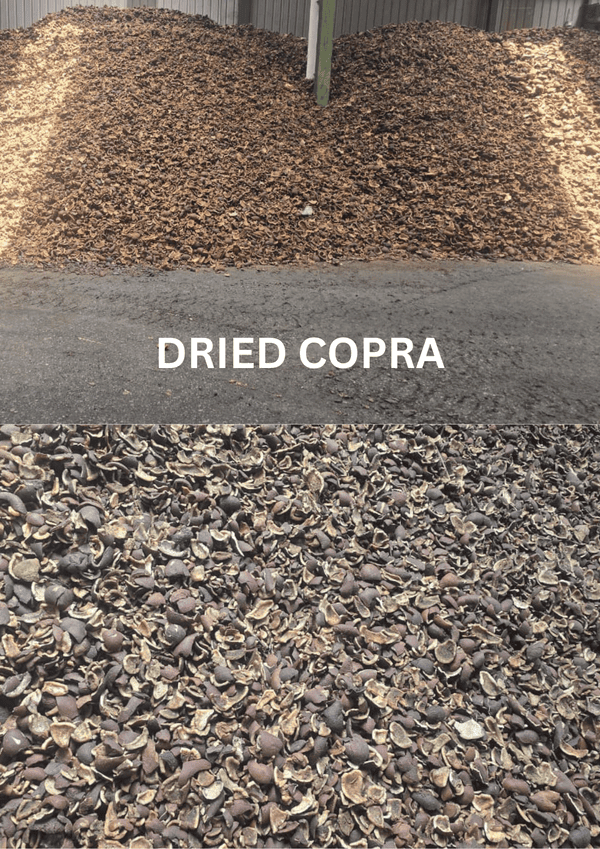 DRIED COPRA (1) (2) (1)